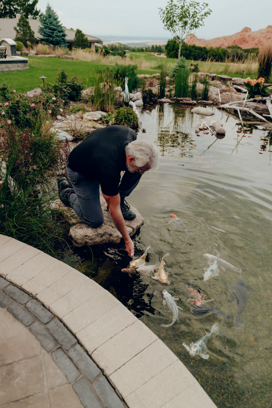 Landscaper feeding koi in a finished backyard pond